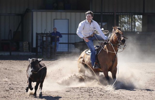 Texas Rodeo